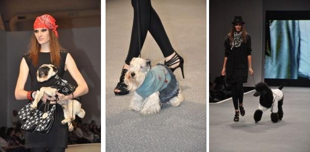 desfile2